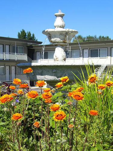 Comox Valley Inn & Suites Courtenay Exterior foto